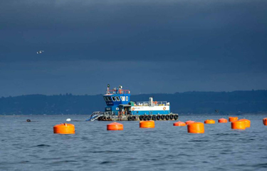 A boat tending to Salmones Austral's net pens.