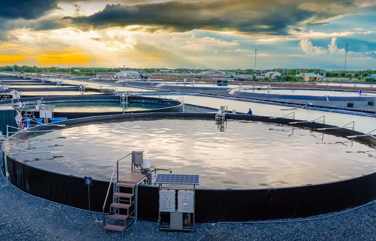 A shrimp pond in Vietnam outfitted with TOMGOXY AI technology