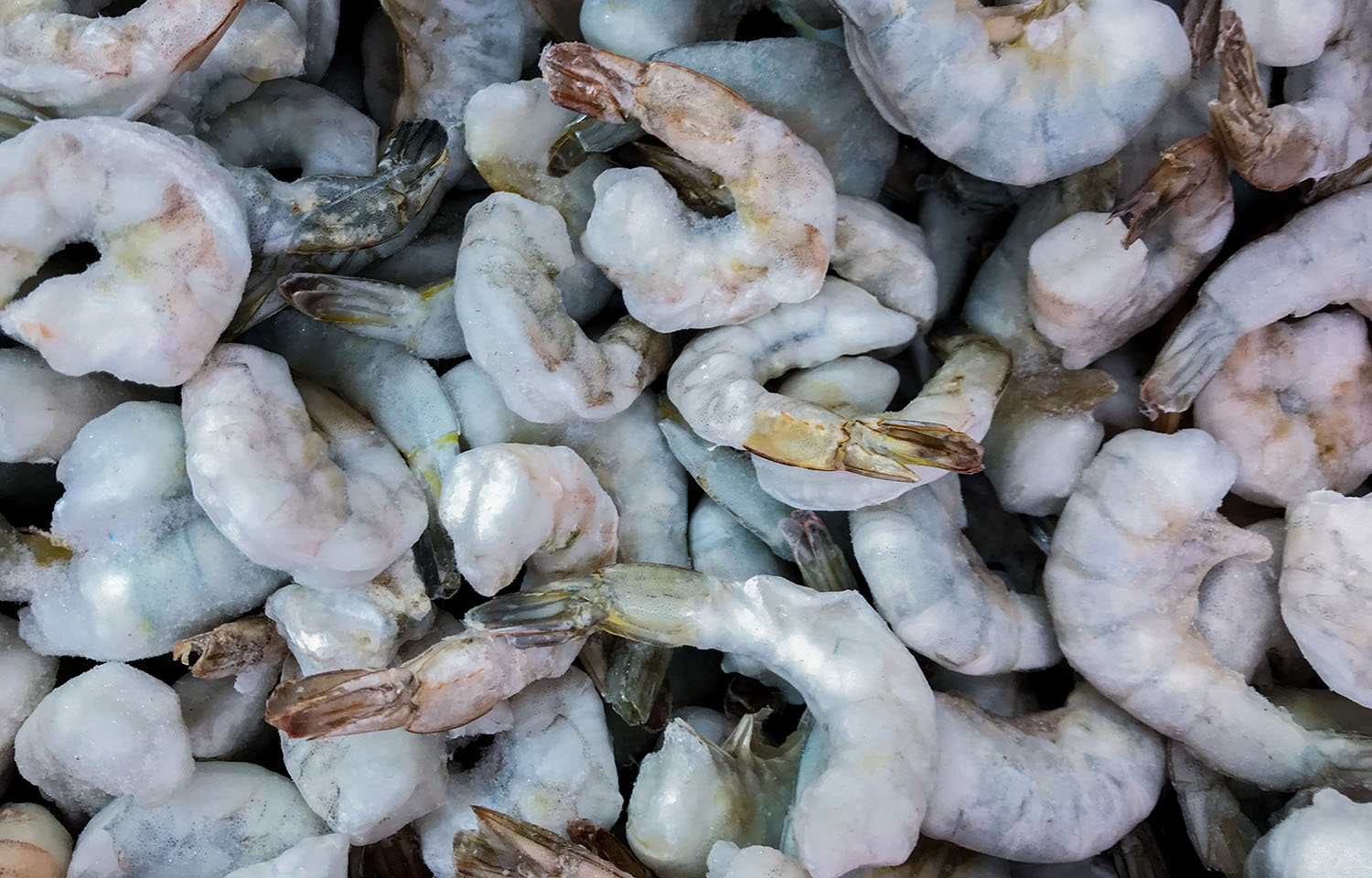 Frozen shrimp