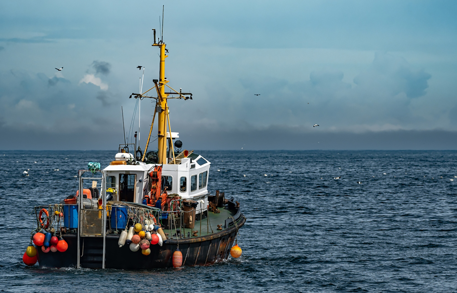 UK seafood import, export growth highlight sector’s resilience, Seafish data finds
