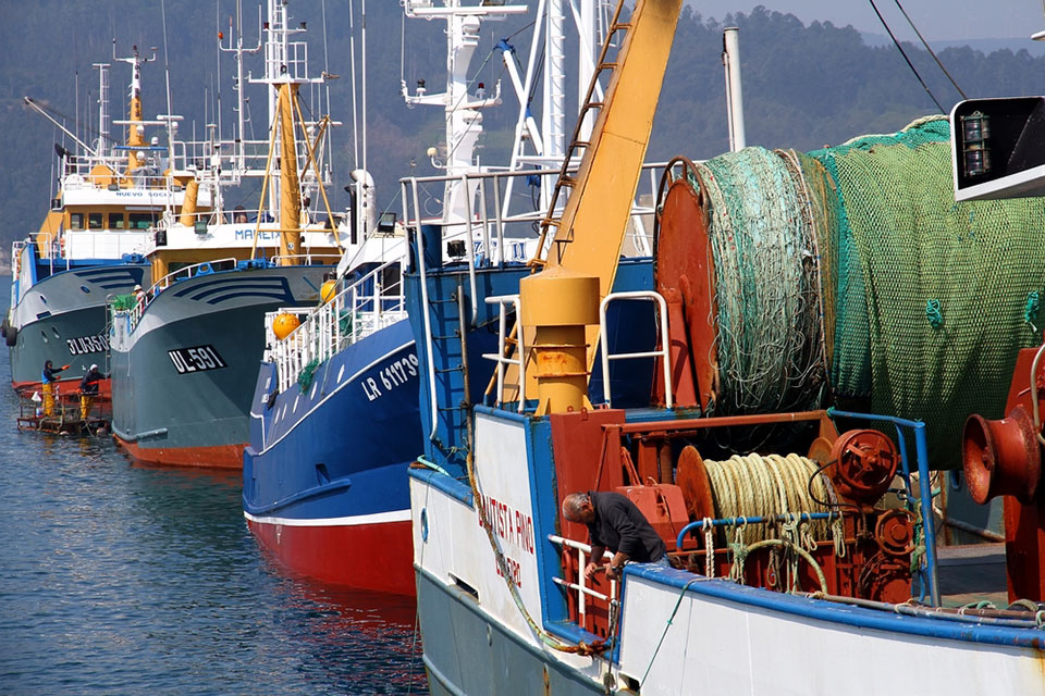 Conservation groups call on Spain to improve management of marine protected areas