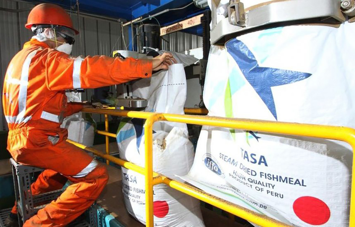 Peruvian fleet catches 98 percent of North-Central anchovy quota