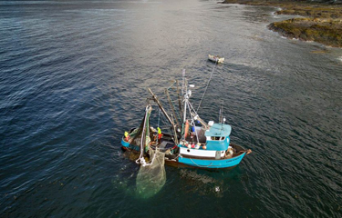 Commercial fishing associations demand voice in Biden's