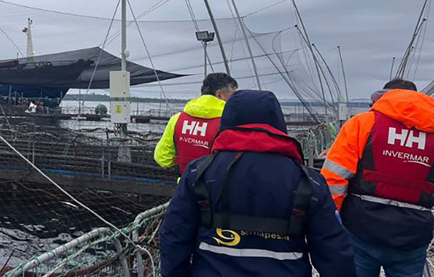 Invermar suffers mass mortality event at Chiloé farming center