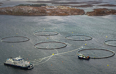 A set of Norcod net pens