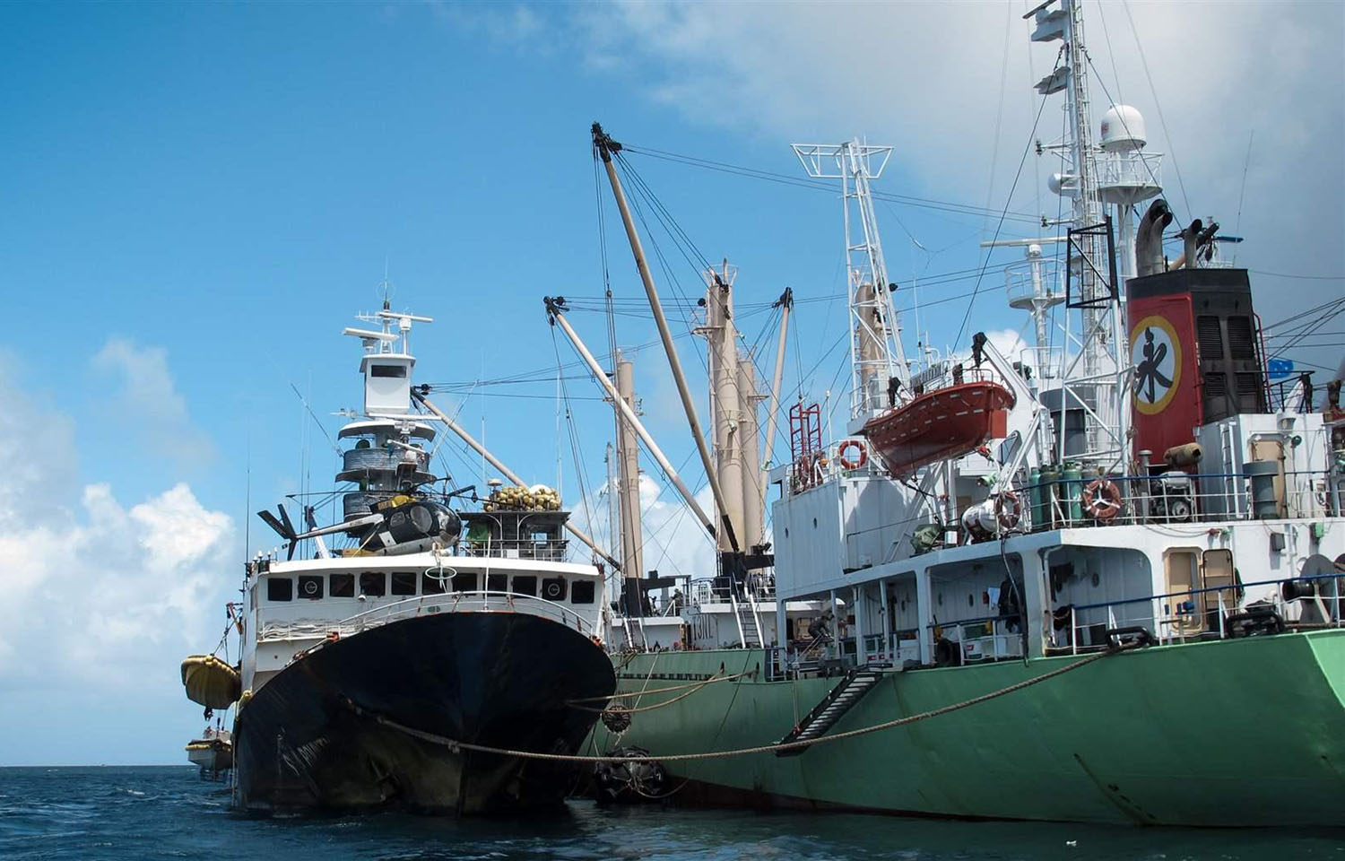 NGOs call for WCPFC to adopt transshipment rules, echo calls for South Pacific albacore management procedure