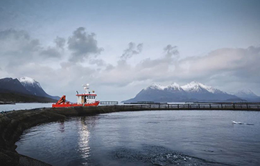 A small work boat tends to a Cermaq net pen in Norway.