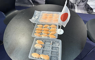 Inabata display SEG