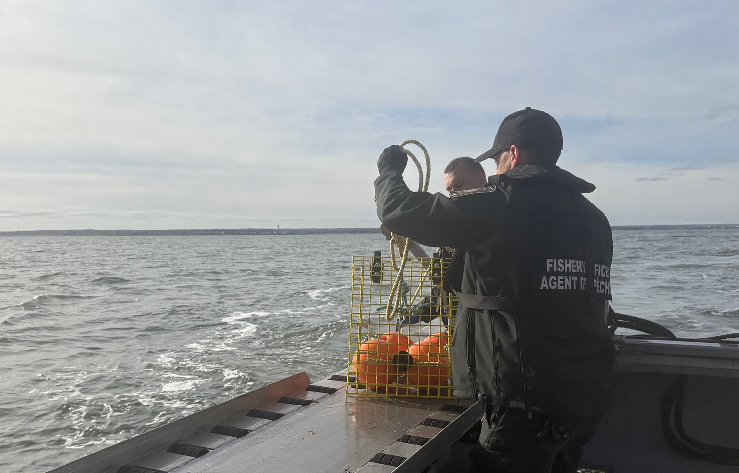 Canada’s DFO finds North Atlantic right whale population shifting, but could recover