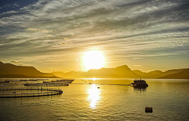 An Ice Fish Farm facility in Iceland.