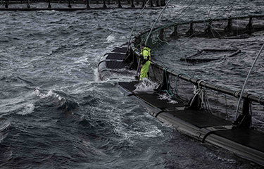 An AKVA employee servicing a salmon farm.
