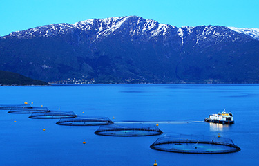 A salmon farm in Norway.