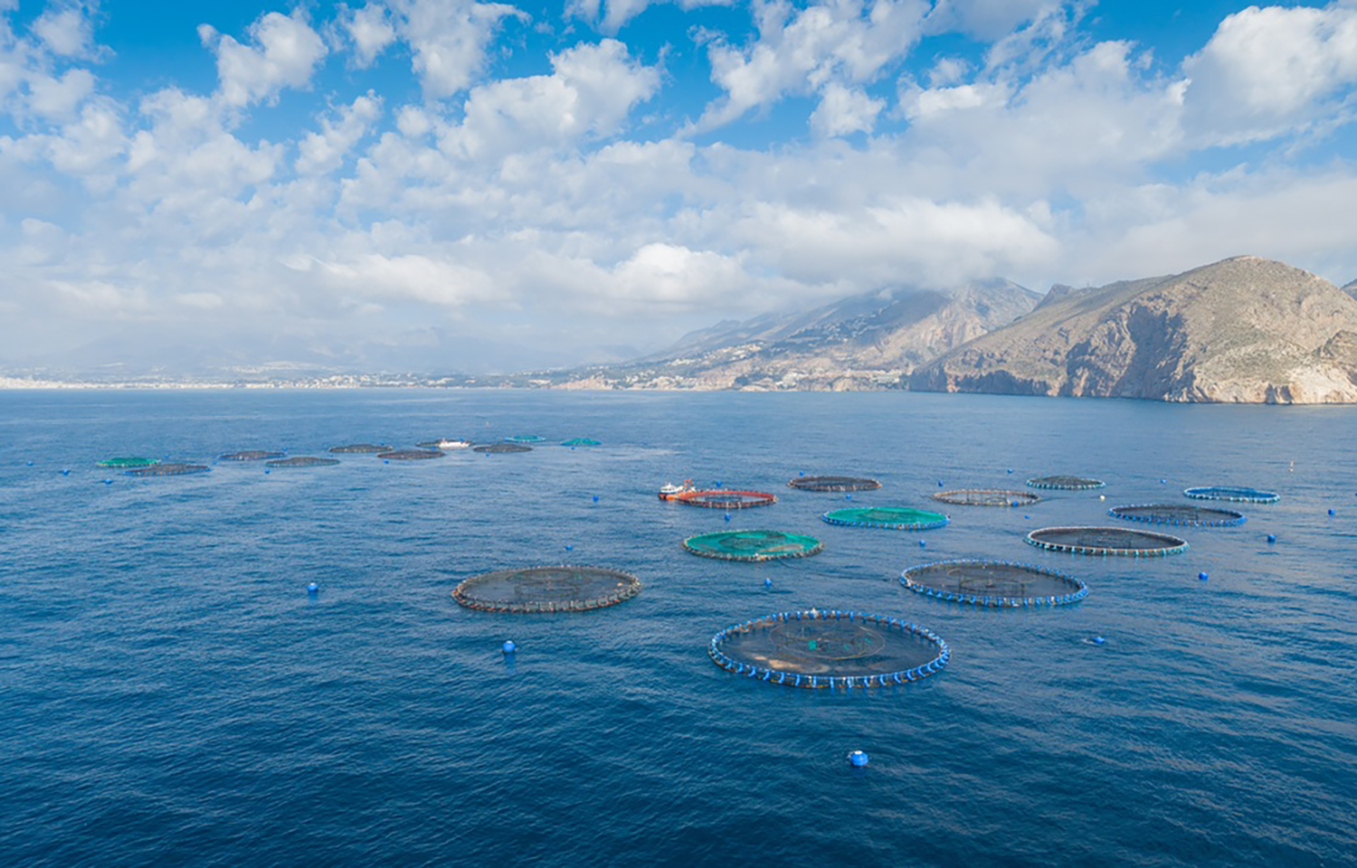 A Spanish aquaculture operation