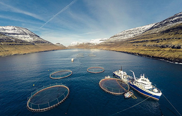 A Bakkafrost salmon farm in the Faroe Islands.