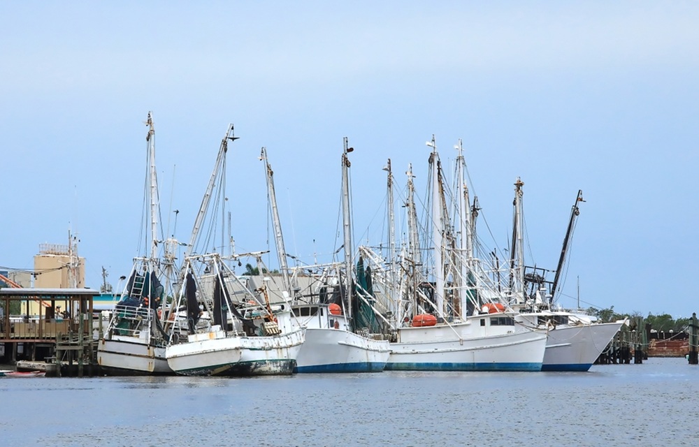 Louisiana congressman asks federal government to buy Gulf shrimp