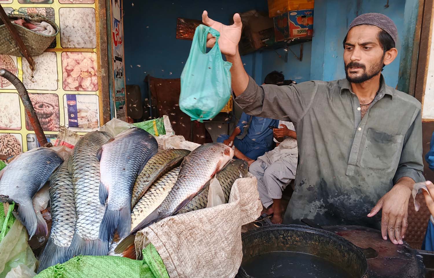 Pakistan seafood exports set volume record in 2024-25 fiscal year but fall short of value targets