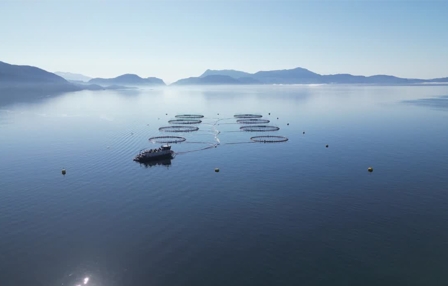Alsaker Fjordbruk purchasing Bolaks Group, forming one of Norway’s largest privately held salmon-farming companies