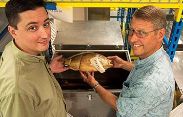 NOAA, FDA release DNA barcode library to identify fish