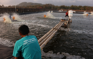 Aqua-Spark has announced investments in agritech start-up eFishery and tilapia farmer Lake Harvest Group.