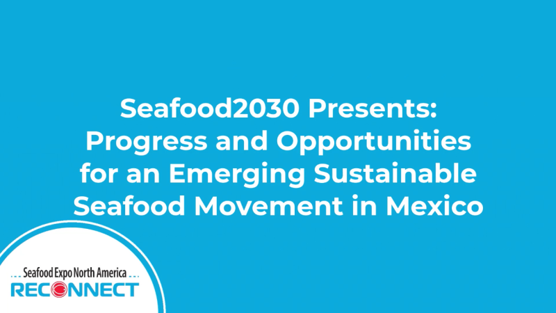 Seafood2030 Presents – Progress and Opportunities for an Emerging Sustainable Seafood Movement in Mexico