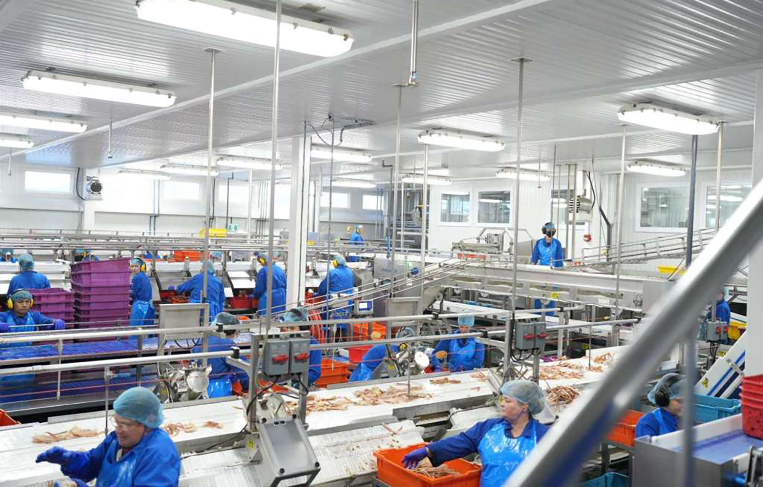A Quinlan Brothers crab-processing plant