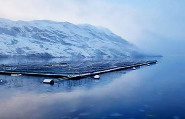 A Nova Austral salmon farm in Chile.