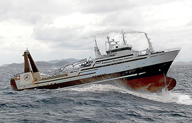 The American Dynsasty