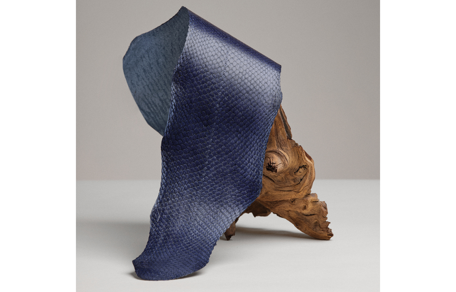 Salmon leather produced by French tanning firm Ictyos