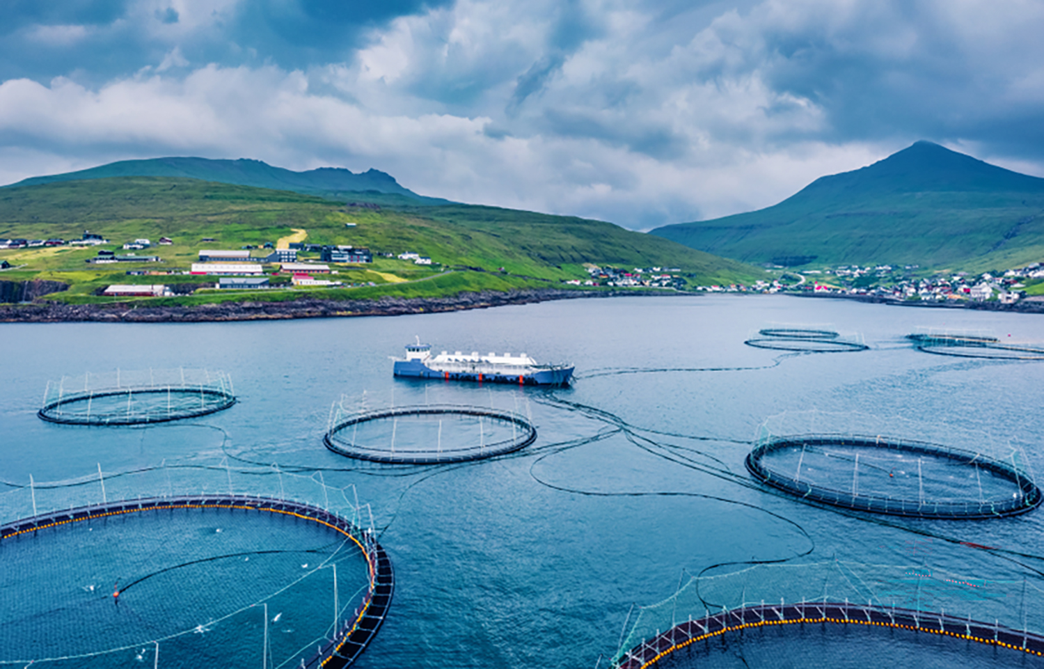 A Faroese trout farm