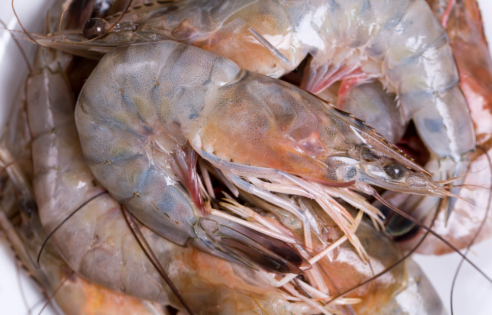 Louisiana shrimp