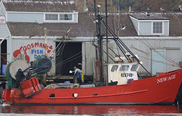 Montauk fisherman convicted of criminal conspiracy and mail fraud