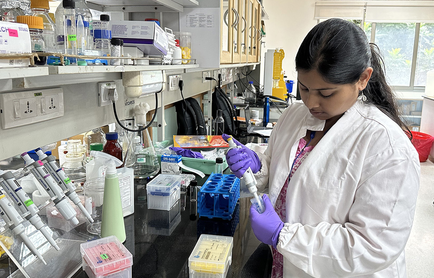 Indian biotech firm Loopworm banking on silkworms as the future of sustainable insect feed production