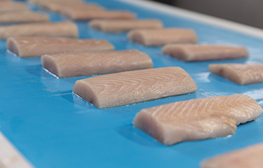 fillets on an assembly line