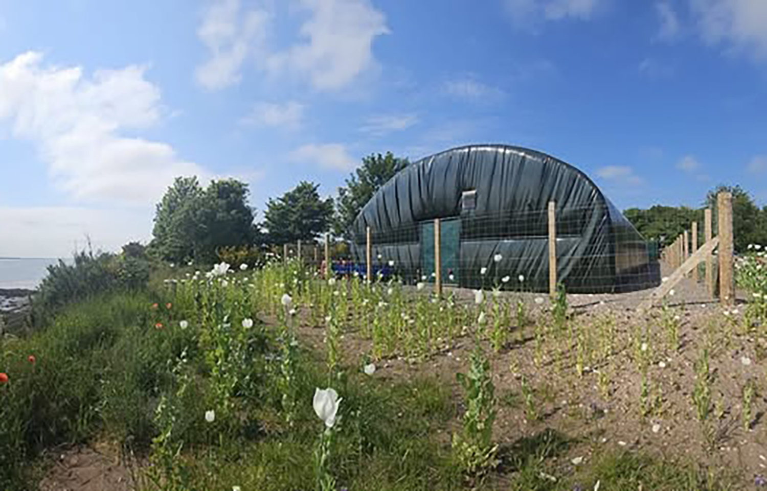 A prawn RAS facility in Scotland
