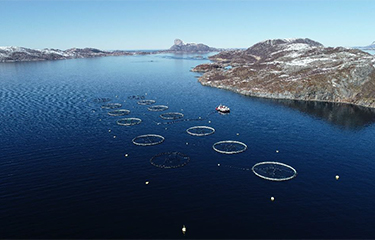 Demand for salmon and increased prices led Mowi to record third-quarter revenues.