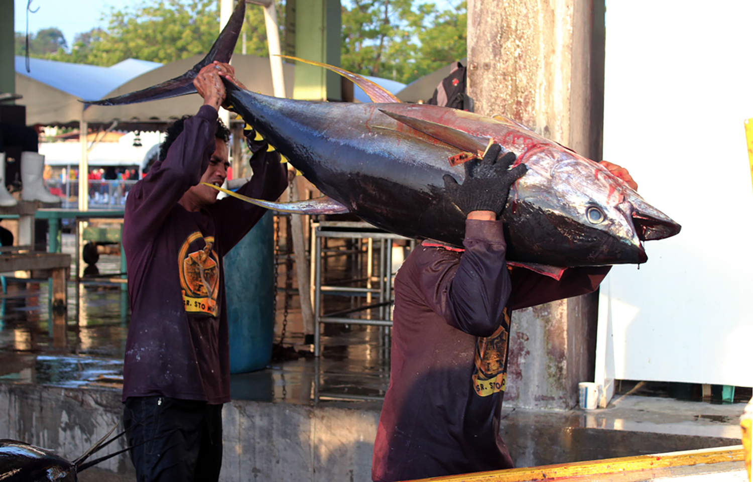 Two men hauling in a freshly caught tuna near General Santos City, Philippines
