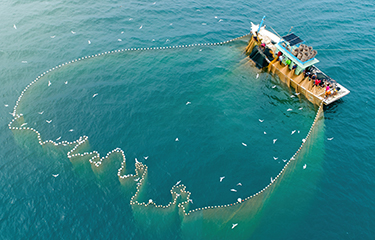 A purse-seiner fishing.