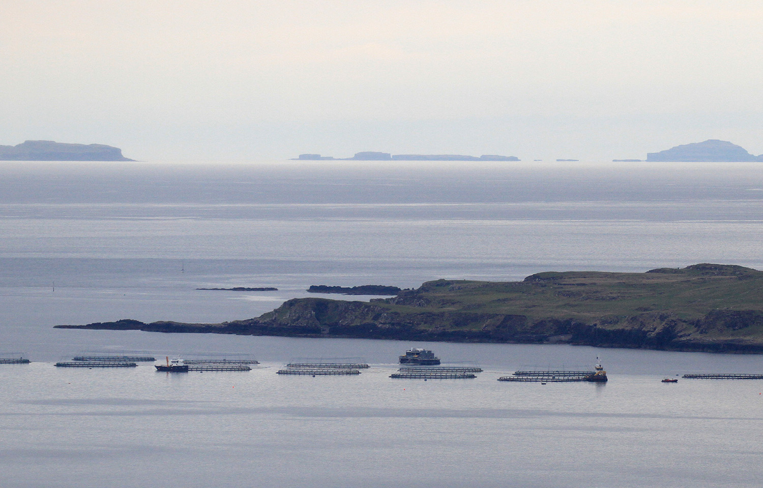 Mowi Scotland's Isle of Muck farm