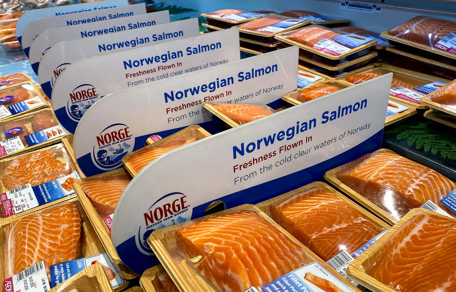 Norway’s seafood exports hit record value in August 2024 | SeafoodSource