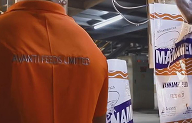 An Avanti Feeds mill.