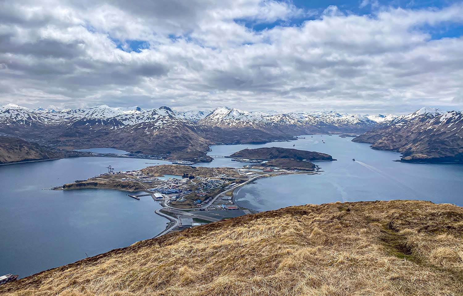 Alaskan leaders have spoken out after the Alaska Board of Fisheries voted 4-3 to suspend the Area M adaptive management program at a February meeting