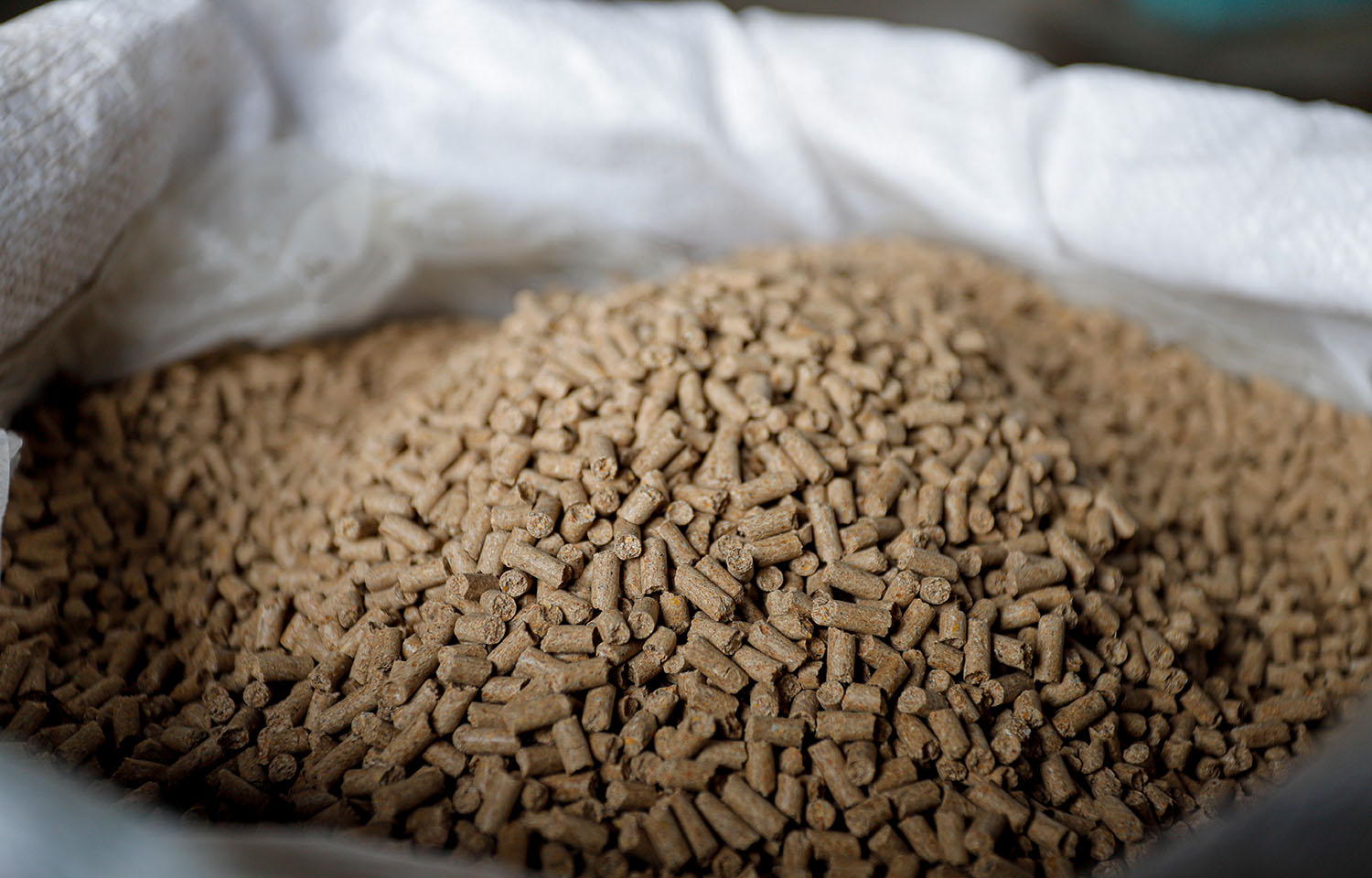 EU confirms safety of Hy-D for salmonids, authorizes its use in aquaculture