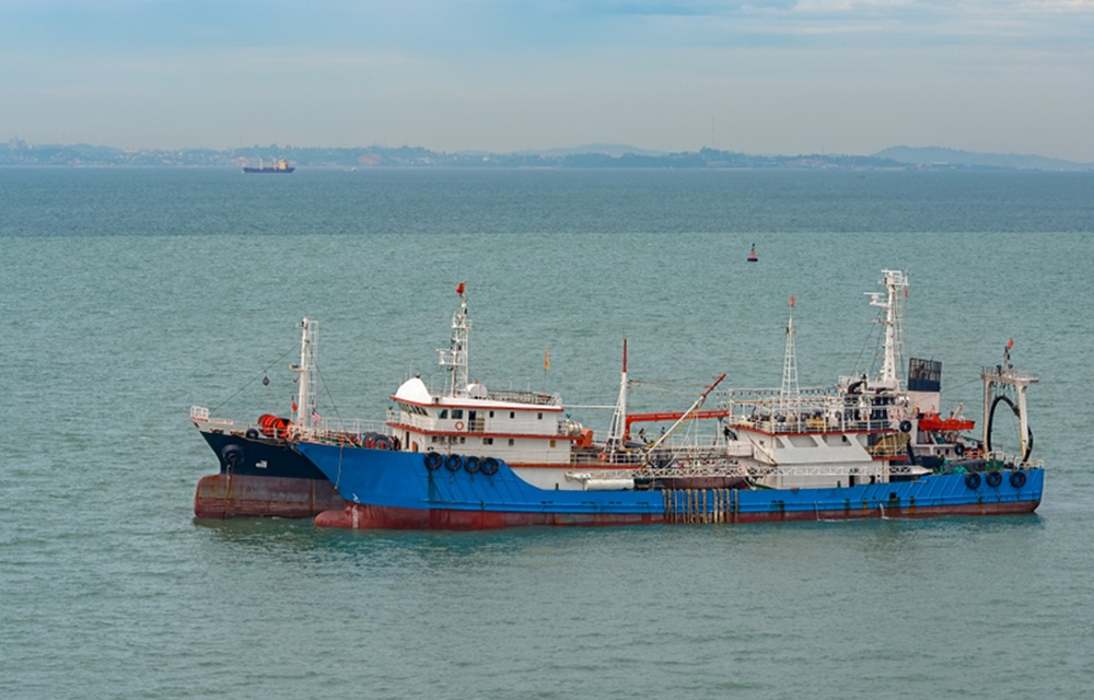 US Congressional committee accuses China’s distant-water fishing fleet of intimidation, ecological destruction