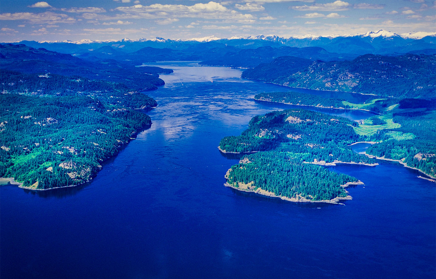 Canadian court nixes Mowi attempt to appeal Discovery Islands farm closures