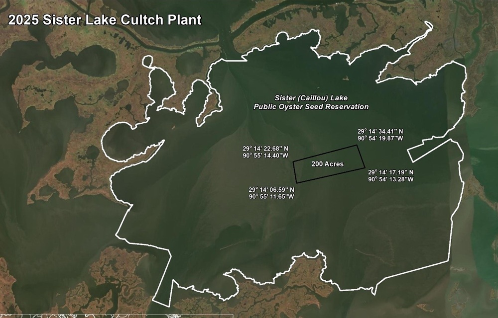 Louisiana wildlife agents use drone to spot illegal oyster harvesting
