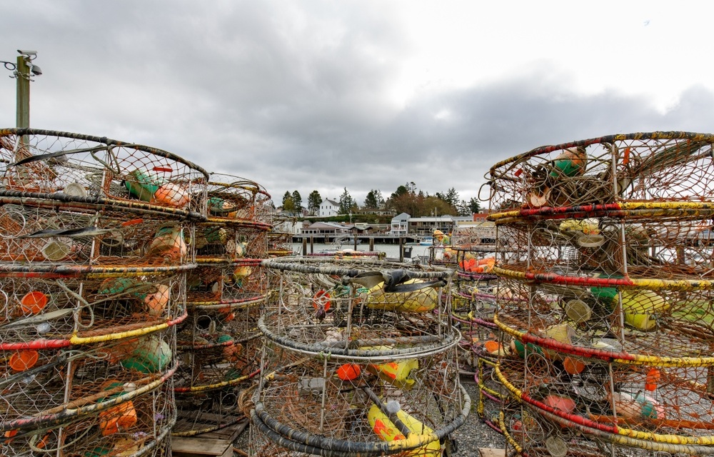 Oregon to open southern coast for Dungeness crab harvest 16 December