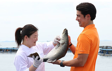 A Barramundi Group farm.