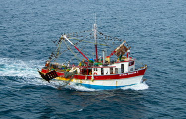 A Mexican shrimp boat. The U.S. is lifting its ban on wild-caught shrimp from Mexico.