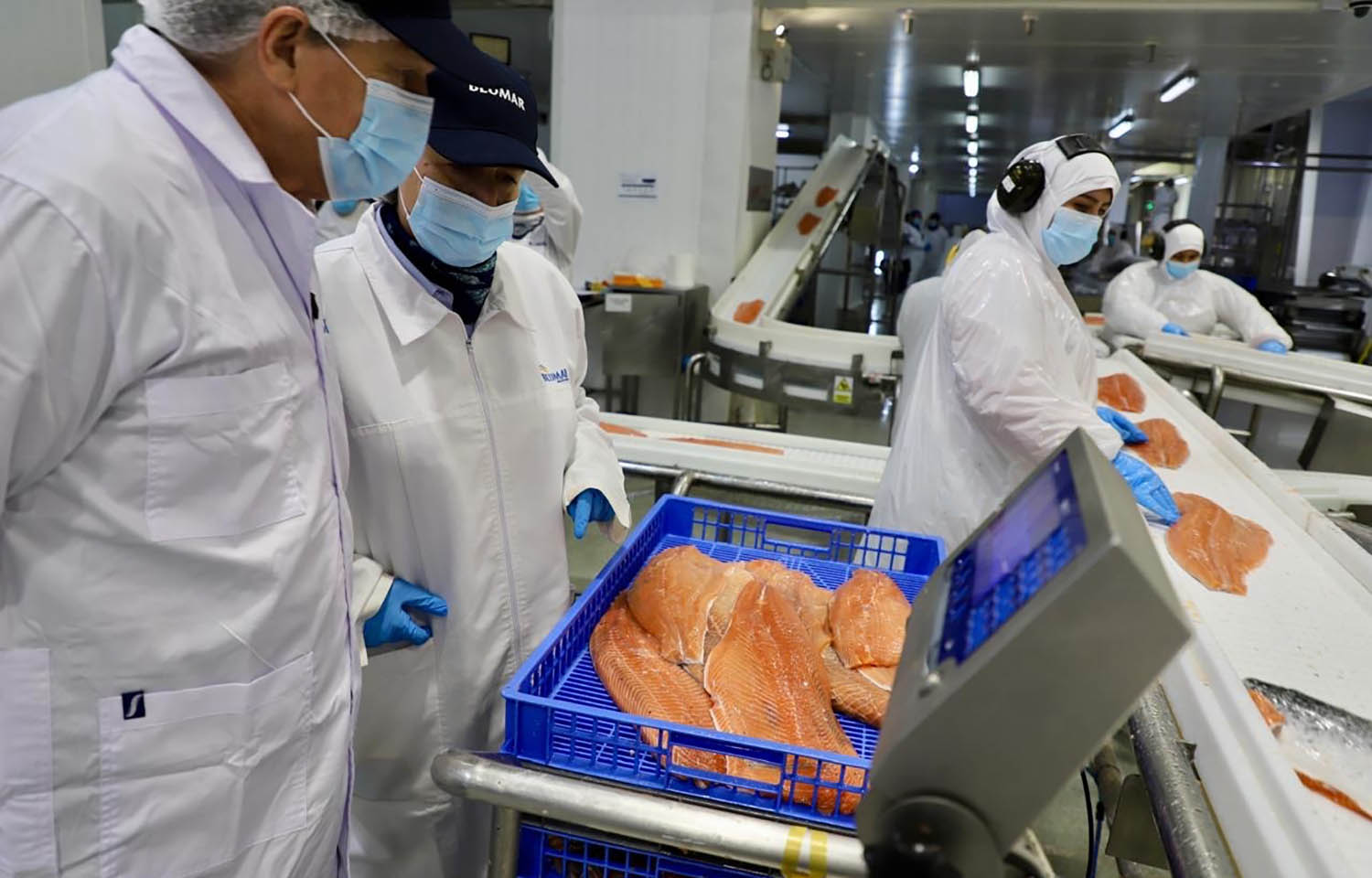 Blumar employees performing quality assurance on salmon fillets at the company's new processing plant