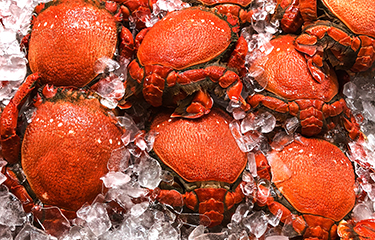 Spanner crab.